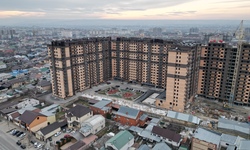 Февраль 2024